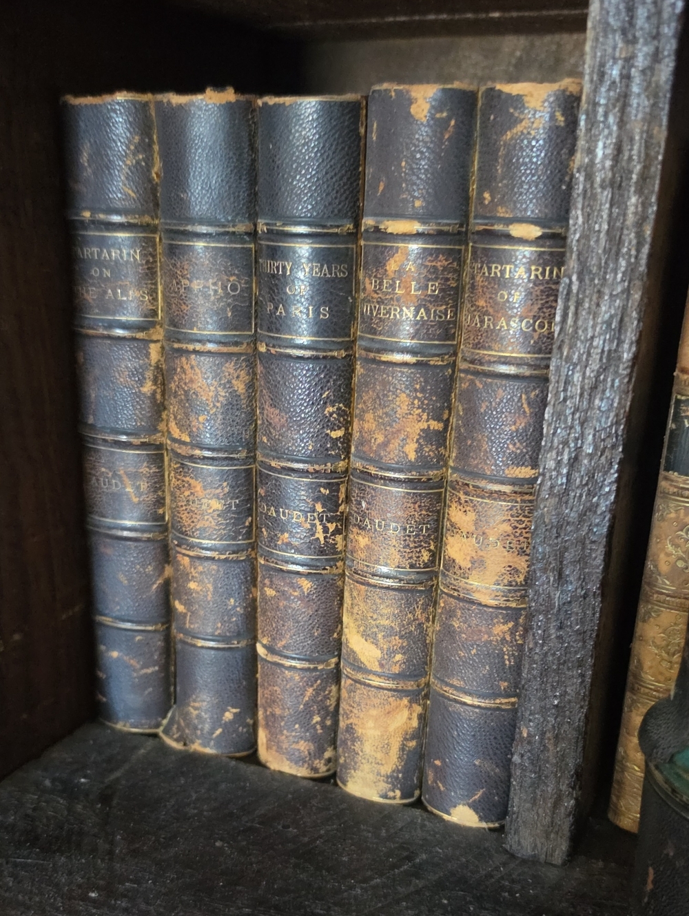 Vintage Brown Leather Book Set - Home Accents